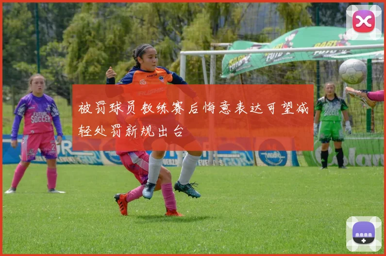 被罚球员教练赛后悔意表达可望减轻处罚新规出台