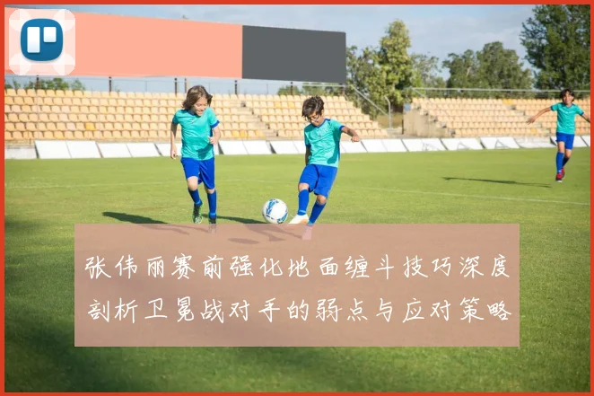 张伟丽赛前强化地面缠斗技巧深度剖析卫冕战对手的弱点与应对策略